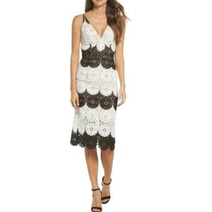 DRESS THE POPULATION NWT - VERA LACE PLUNGE NECK BLACK/WHITE MIDI DRESS- S